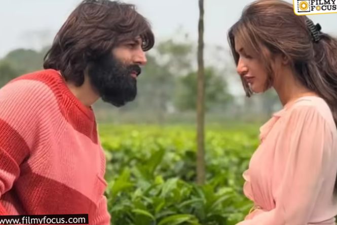 Sreeleela and Karthik Aryan: డాక్టర్ల ఫ్యామిలీ హీరోతో.. మరోసారి డాక్టర్‌ హీరోయిన్‌.. రూమర్స్‌