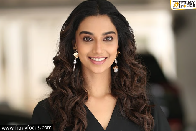 Meenakshi : హీరోయిన్ మీనాక్షి కి పెళ్లి చేసుకోవటానికి భర్త కావాలా ? పని మనిషి కావాలా ?