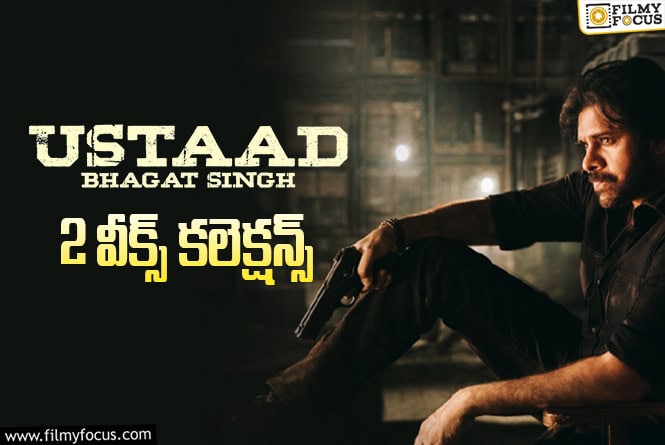 Ustaad Bhagat Singh Collections: 2వ వారం కూడా సేమ్ సీన్ రిపీట్ అయ్యిందిగా