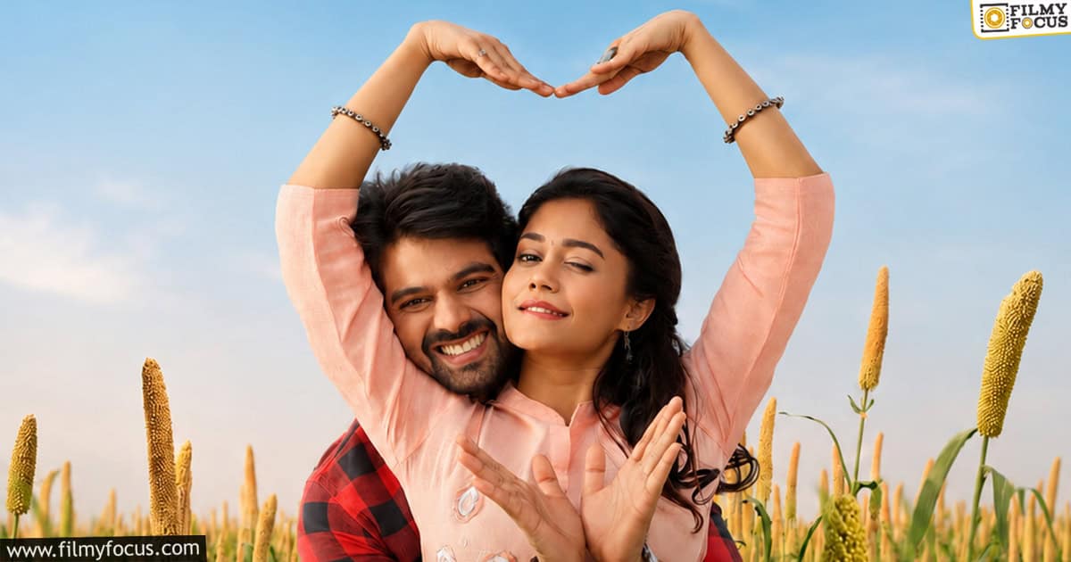 Mr. Work From Home Movie Review and Rating