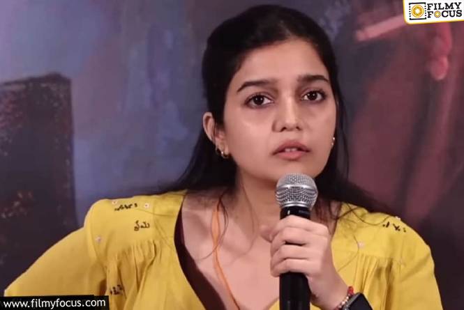 Swathi Reddy: పెళ్ళి కంటే కుక్కని పెంచుకోవడం బెటర్ అనిపించింది.. కలర్స్ స్వాతి షాకింగ్ కామెంట్స్